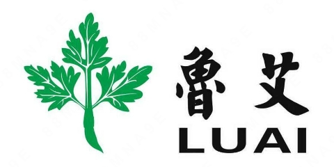“鲁艾LUAI及图”商标注册案例分析